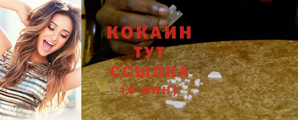стафф Горняк